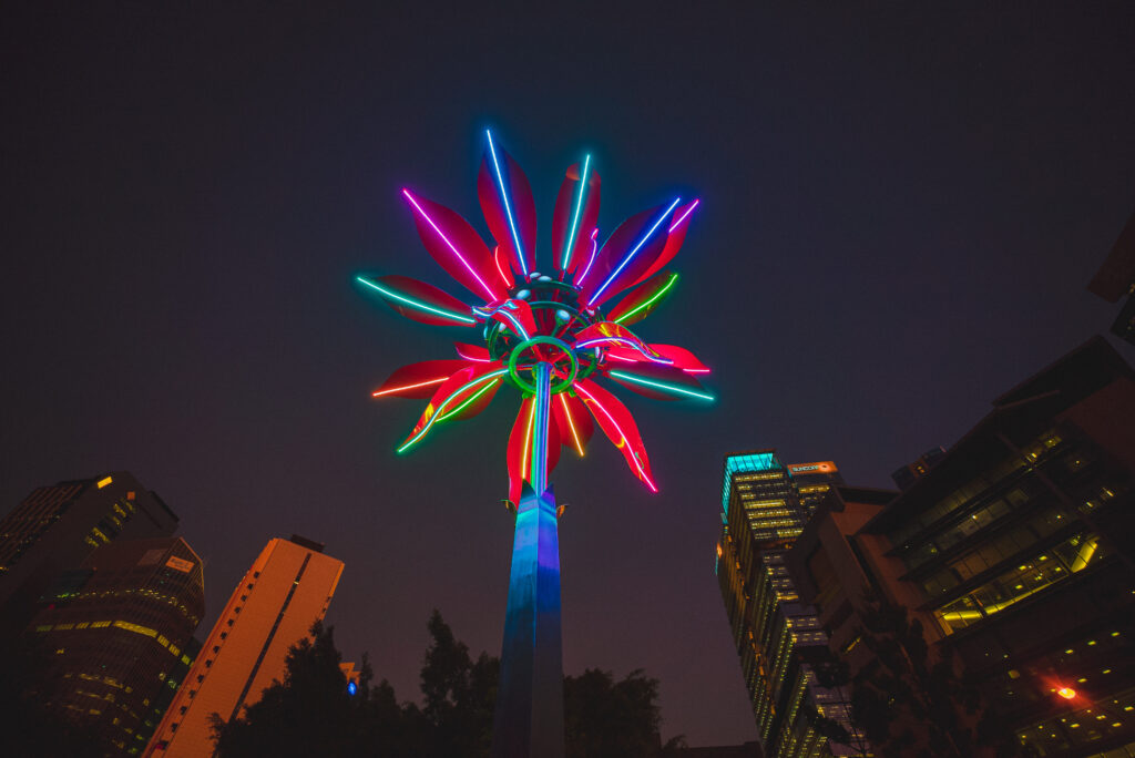Digilin & Poinsettia-Riverfire 1