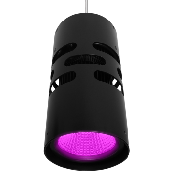 Freedom Colour Suspended _1000px