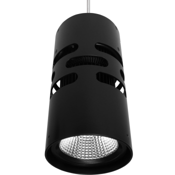 Freedom Suspended _1000px