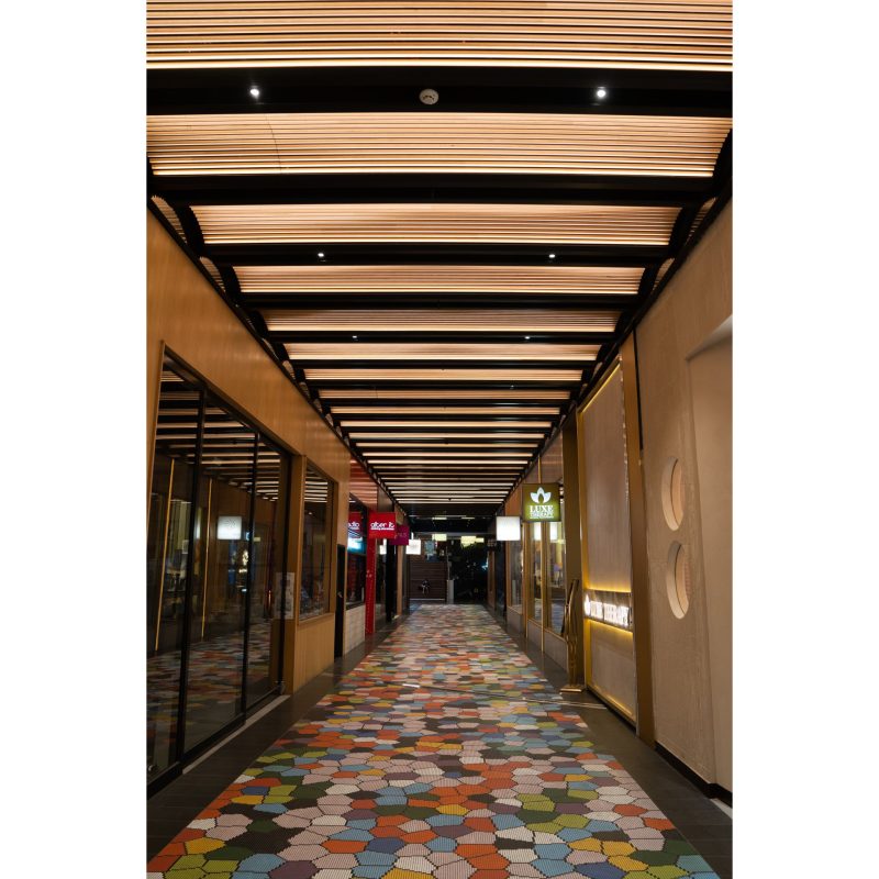 Javelin overview image - Menzies Place resized